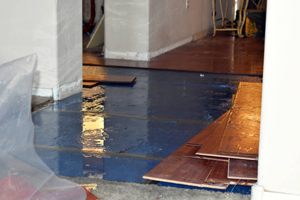 Professional Water Extraction technician working in Ecorse, MI